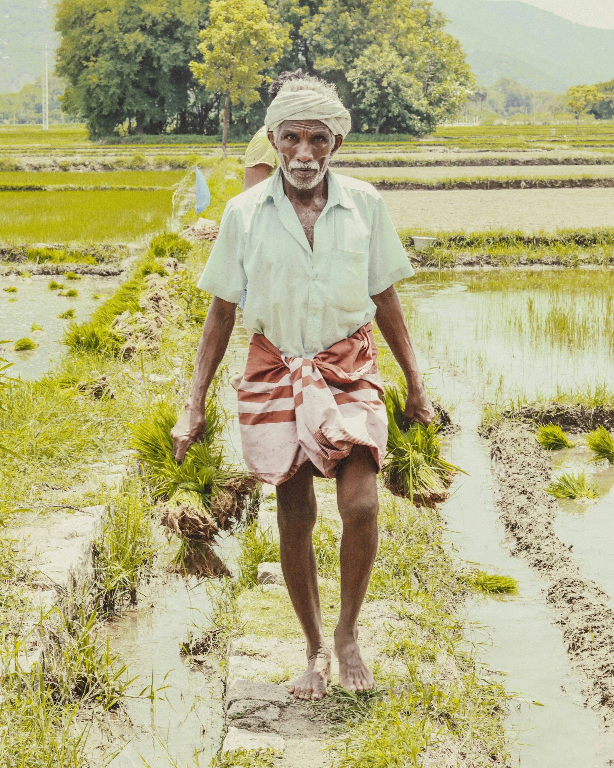 vishnu-r-6t6BqCwr8Yk-unsplash